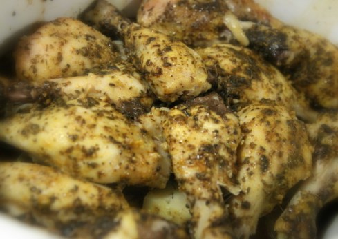 תקריב עוף יווני